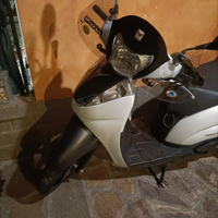 Sh 300 sport