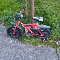 bicicletta 