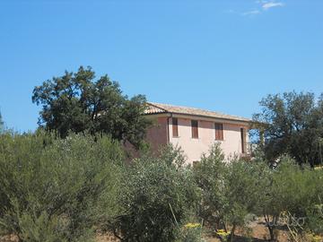 Grazioso appartamneto in villetta indipendente