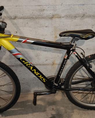 Bici uomo Grandis ruote del 26 telaio in alluminio