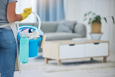Pulizie professionali,stiro,disponibile da subito