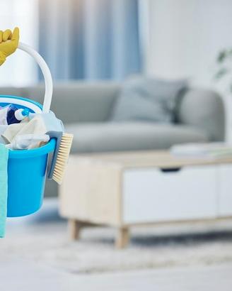 Pulizie professionali,stiro,disponibile da subito