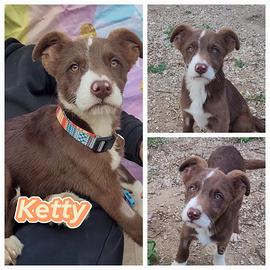 Ketty, Dolly, Dino e Olimpia