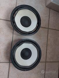 Woofer 25 cm 