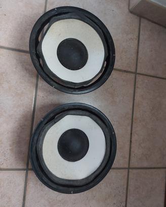 Woofer 25 cm 