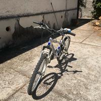 Mountain bike globus per bimbo