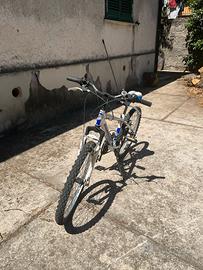 Mountain bike globus per bimbo