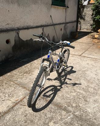 Mountain bike globus per bimbo