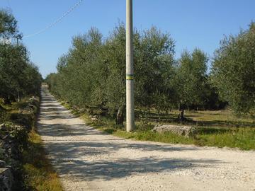 Terreno contrada Petrarelli