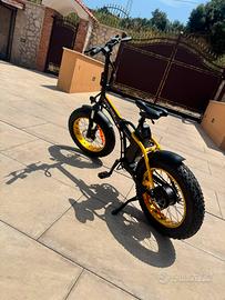 Bici minimax