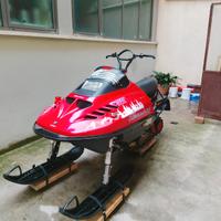 Motoslitta ski doo