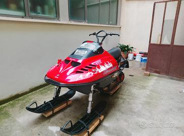 Motoslitta ski doo