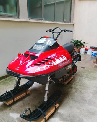 Motoslitta ski doo