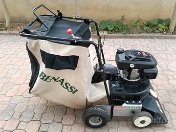 aspirafoglie professionale 