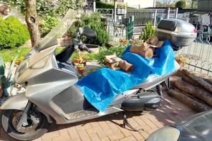 honda silver wing