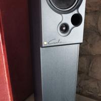 Casse acustiche da pavimento  con  amplificatore.