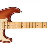 FENDER American Professional II HSS 1 MESE DI VITA