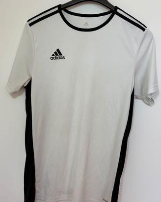 Maglia Adidas AEROREADY – Performance Training Tee