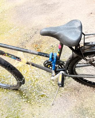 Mountain bike