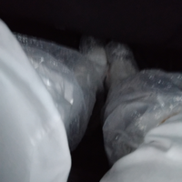 BABYSISTER, COMMESSA, assistente domiciliare, etc