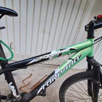 Bicicletta ragazzo