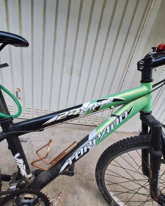Bicicletta ragazzo