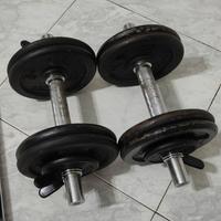 manubri 22 kg