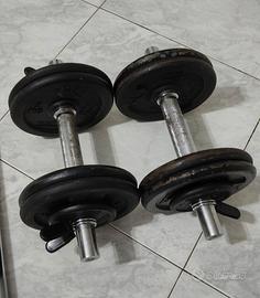 manubri 22 kg