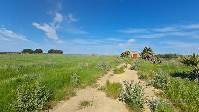ANTICO BAGLIO ANNESSO IN UN TERRENO DI 45000 MQ.