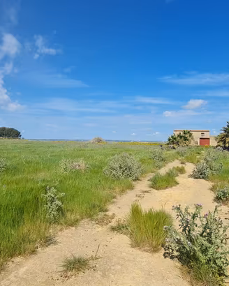 ANTICO BAGLIO ANNESSO IN UN TERRENO DI 45000 MQ.