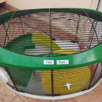 gabbia per criceti 