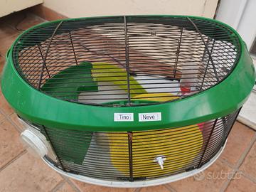gabbia per criceti 