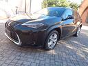 lexus-ux-hybrid-business