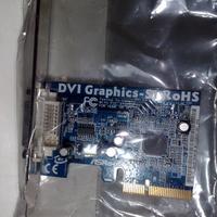 Scheda grafica DVI PCI-Express Asrock