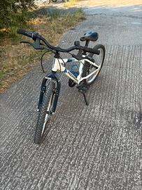 MTB 20”