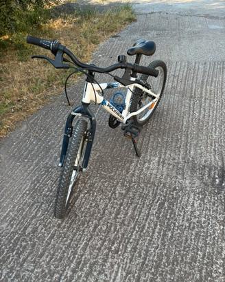 MTB 20”