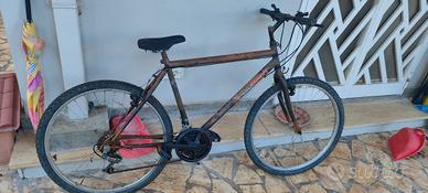 bicicletta 