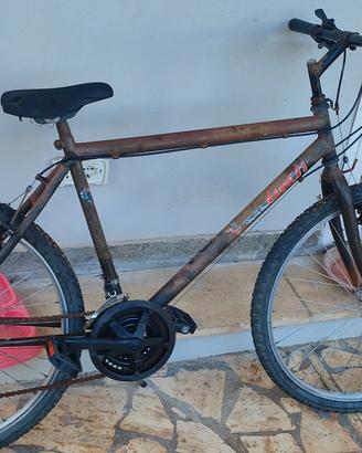 bicicletta 