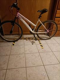 bicicletta donna
