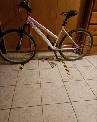 bicicletta donna