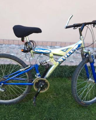 bicicletta