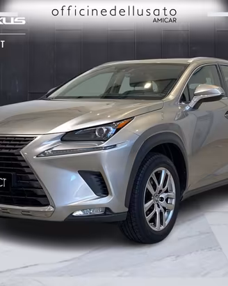 Lexus NX 300 2.5 hybrid business 4wd cvt