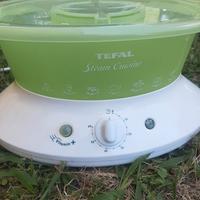 Vaporiera Tefal