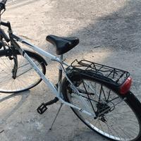 Bici da passeggio 
