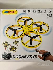 Drone