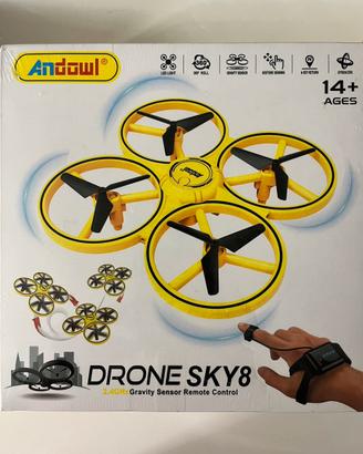 Drone