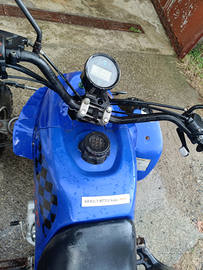 Altro Altro modello - 2008