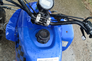 Altro Altro modello - 2008