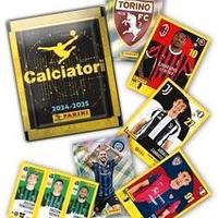 lotto 300 figurine album calciatori panini 2024-25