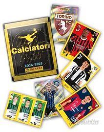 lotto 300 figurine album calciatori panini 2024-25